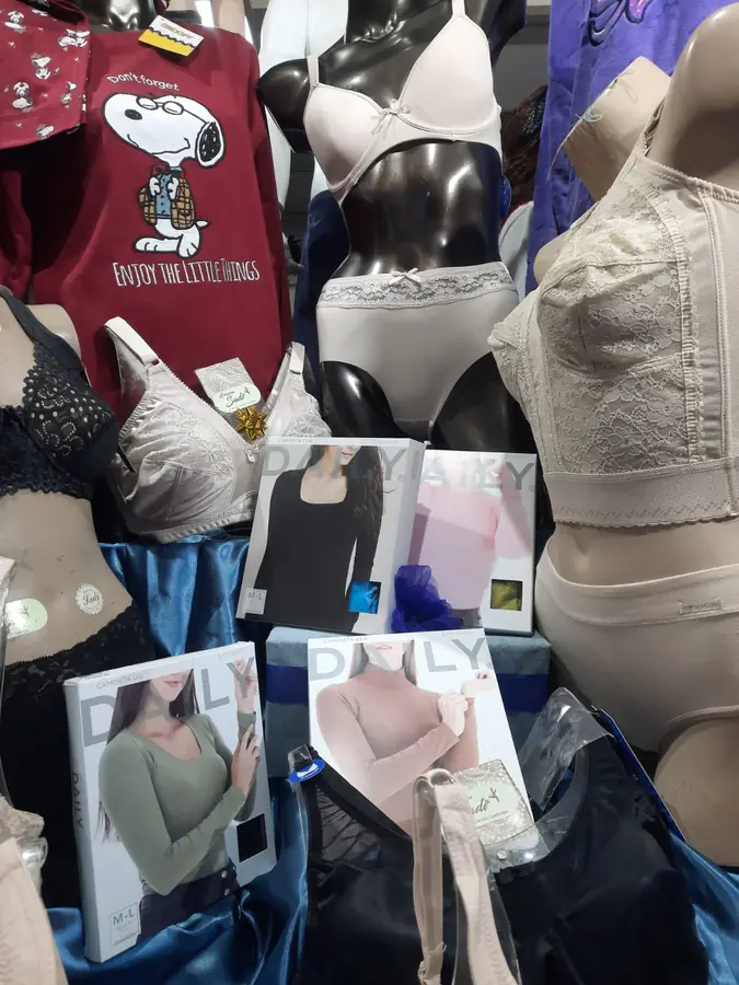 Corsetería seleccionada en Lencería Sadi